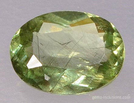 ludwigite-vonsenite-peridot-219-6.jpg