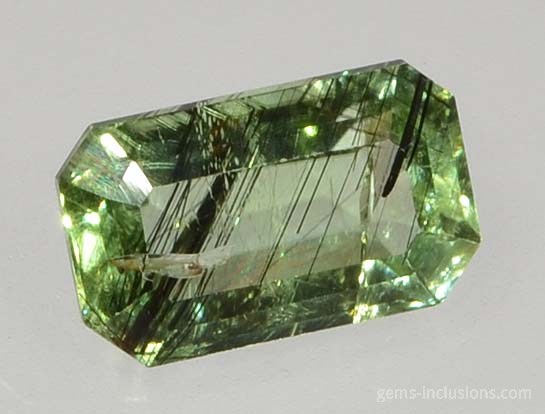 ludwigite-vonsenite-peridot-323-2.jpg