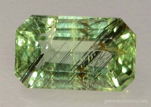 ludwigite-vonsenite-peridot-323-4.jpg