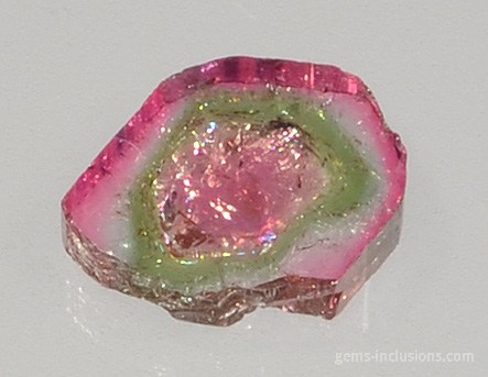 tourmaline-watermelon-15-5.jpg