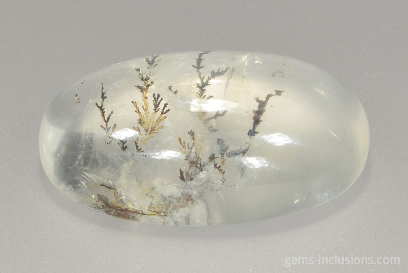 dendritic-quartz-1455-1.jpg