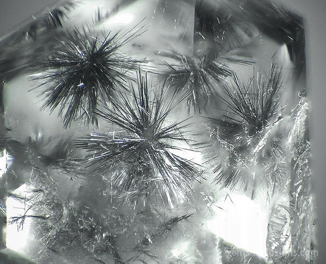HOLLANDITE INCLUSIONS IN QUARTZ-580-1.jpg