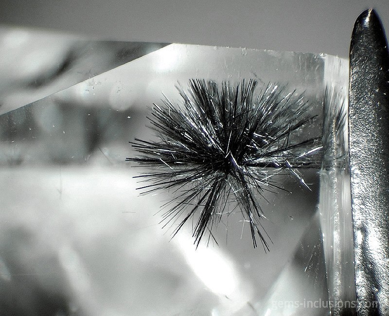 HOLLANDITE INCLUSIONS IN QUARTZ-580-4.jpg