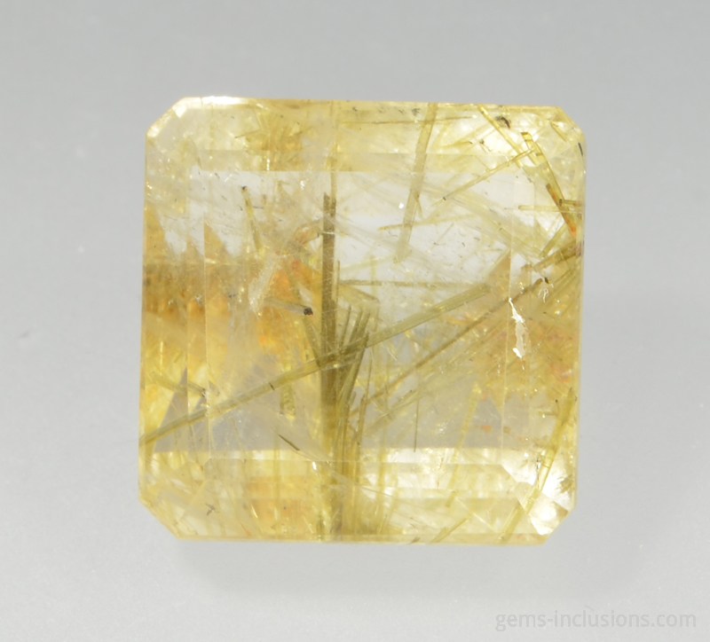 actinolite-inclusions-quartz-1712-1.jpg